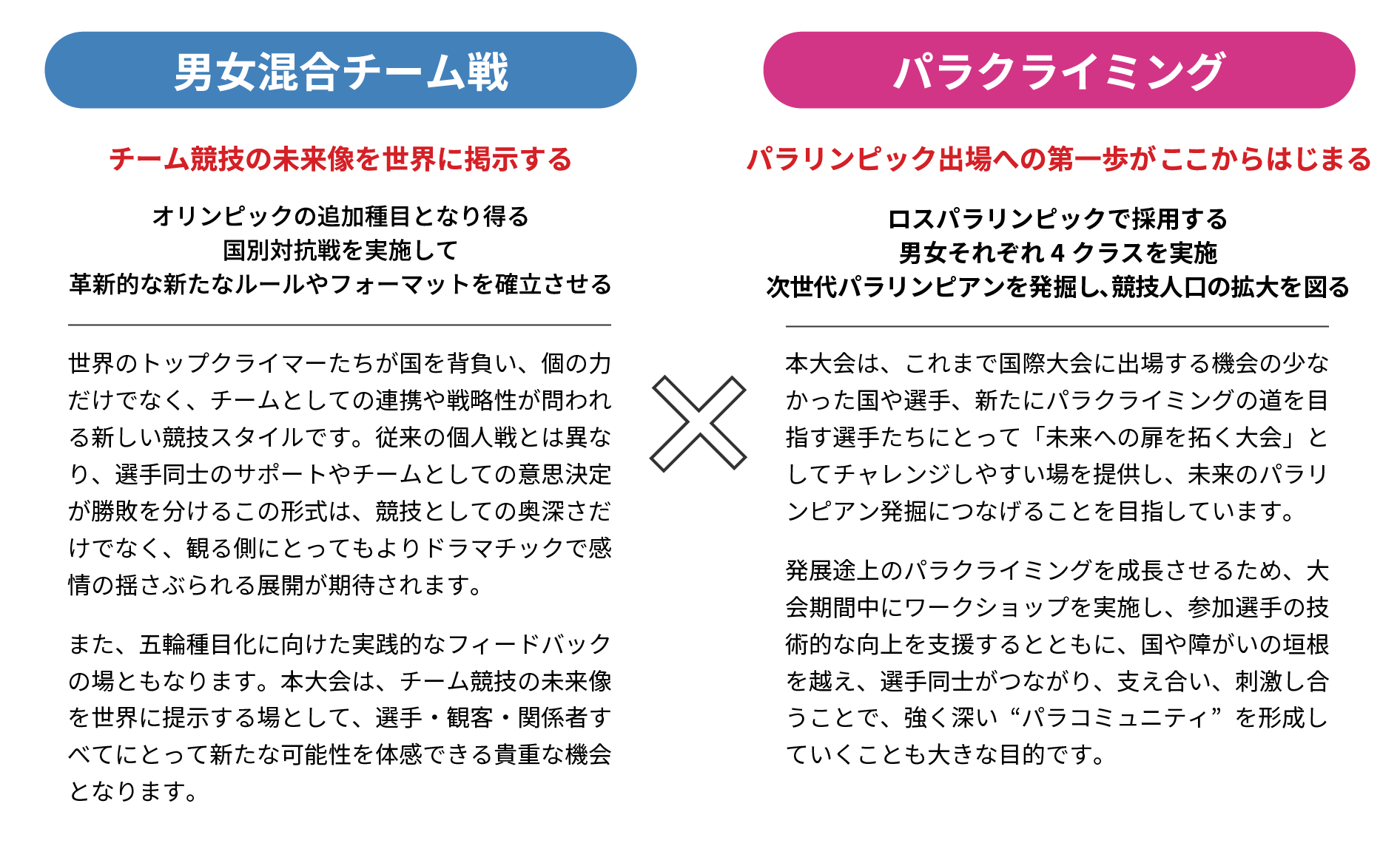 男女混合チーム戦
チーム競技の未来像を世界に提示する
オリンピックの追加種目となり得る
国別対抗戦を実施して
革新的な新たなルールやフォーマットを確立させる
パラクライミング
パラリンピック出場への第一歩がここからはじまる
ロスパラリンピックで採用する
男女それぞれ4クラスを実施
次世代パラリンピアンを発掘し、競技人口の拡大を図る